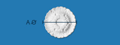 Thumbnail Image 1